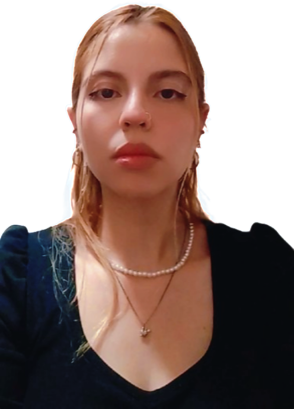 home perfil